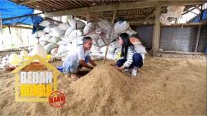 Pak Jaya Bekerja Di Peternakan Ayam Dan Pengumpulkan Pupuk