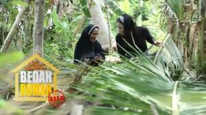 Ibu Sum Membantu Pak Masda Dengan Membuat Sapu Lidi Dari Daun Belarak