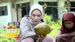 Lima Butir Kelapa Muda Ditukar Demi Setengah Kilo Telur Ayam