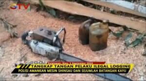 Pelaku Ilegal Logging Diamankan