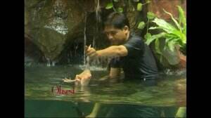 Lucky Hakim Beri Makan Piranha Langsung!