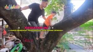 Irfan Ajarkan Putranya Memanjat Pohon