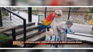 Serunya Liburan Perdana Baby Shaquile