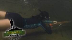 Tarzan Jump Dan Spearfishing Menjadi Kegiatan Ekstreme Kedua Di Cijulang