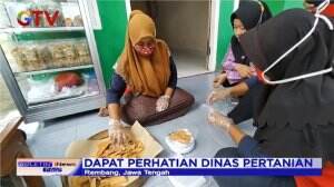 Batang Pisang Dijadikan Camilan
