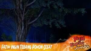 Fatih Ingin Tebang Pohon Sesat