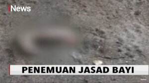 Sempat Dibawa Anjing Liar, Potongan Tubuh Bayi Ditemukan Warga di Sulawes Selatan