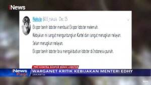 Pro Kontra Ekspor Benih Lobster Hingga Muncul Cuitan #TenggelamkanEdyPrabowo