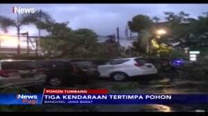 Hujan Deras Sebabkan Pohon Besar Menimpa Tiga Mobil Terparkir di Bandung