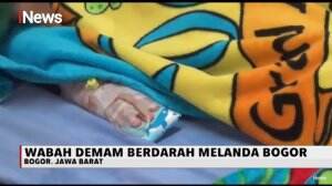 Tercatat 130 Orang Terserang Wabah DBD di Bogor, Lima Anak Telah Meninggal