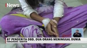 Dua Anak Berusia 7 dan 9 Tahun di Bali Meninggal Dunia Akibat DBD