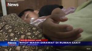 Tangan Bocah di Depok Digigit Ular Kobra Saat Bermain