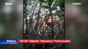 Viral! Motor Nyangkut Pohon Bambu