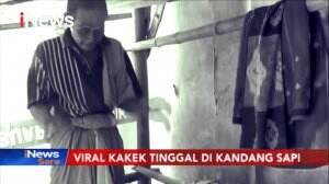 Setelah Lama Tinggal Di Kandang Sapi, Seorang Kakek Dapat Rumah
