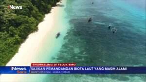 Teluk Biru, Surga Snorkeling di Banyuwangi