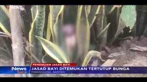 Geger Temuan Jasad Bayi di Halaman Rumah Warga