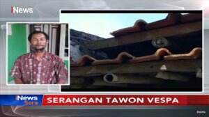 Seorang Kakek di Bekasi Tewas Diserang 50 Sengatan Tawon Vespa