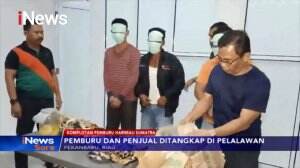 Komplotan Pemburu Harimau Sumatera Jual Organ Hingga Puluhan Juta Rupiah