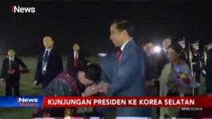 Jokowi Kagum! Tata Kampung Padat di Busan Bisa Jadi Daya Tarik Wisata