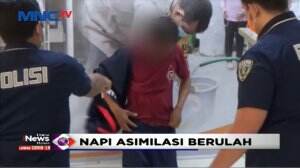 Tiga Hari Bebas, Napi Asimilasi Berulah Lalu Ditangkap