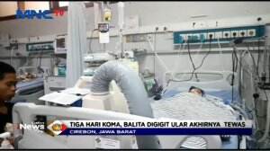 Balita Malang 4 Tahun Meninggal Digigit Ular Wuling Setelah Perawatan Intensif di RS