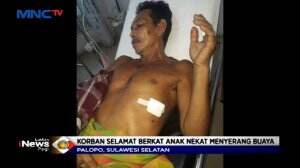 Aksi Nekat Anak Duel Dengan Buaya Besar Tolong Sang Ayah