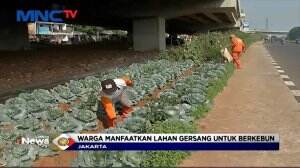 Hijaukan lahan Segar, Warga Berkebun di Lahan Gersang Pinggiran Jakarta