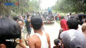 Seorang Ibu Rumah Tangga Tewas Di Terkam Seekor Buaya