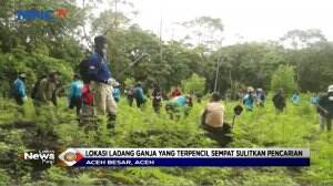 Pemusnahan 5 Hektar Ladang Ganja di Aceh Sempat Sulitkan Petugas BNN