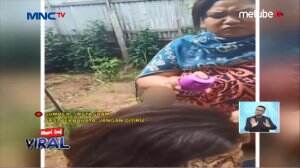 Viral! Ibu Basmi Kutu Rambut Anak Pakai Ini