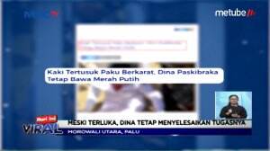 Mengharukan! Anggota Paskibraka Tertancap Paku Saat Bertugas
