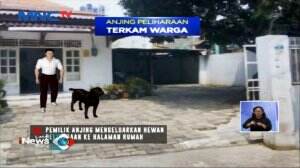 Seorang Warga Kritis Diterkam Anjing Tetangga Sendiri
