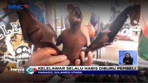 Kelelawar Selalu Terjual Habis di Pasar Ekstrem Tomohon