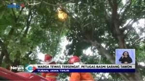 Aksi Cepat BPBD Jatim Basmi Tawon Ndas yang Mematikan dengan Api dan Insektisida