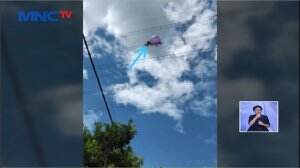 Teror Balon Udara, Petugas PLN Berjibaku Evakuasi Balon Tersangkut