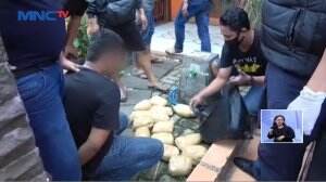 5 Kurir Narkoba diringkus Polisi, 1 Terkena Timah Panas Saat Melawan