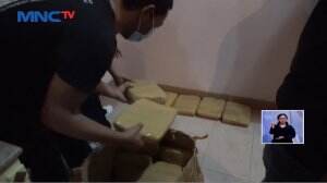 Polisi Gerebek Bandar Ganja di Kamar Hotel di Bali