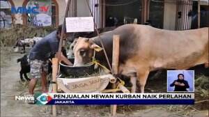 Protokol Kesehatan Diterapkan Dalam Proses Jual Beli Hewan Kurban