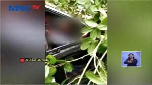Pohon Timpa Mobil, Bocah 5 Tahun Tewas Terjepit Mobil