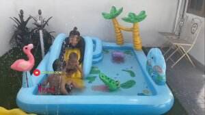 Ayu Dewi Ajak Kedua Putranya Berenang di Rumah Sendiri