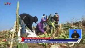 Berpotensi Longsor, Lahan Resapan di Bandung Beralih Fungsi