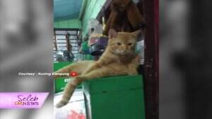 Kejadian Viral Dan Kocak Yang Bikin Ngakak