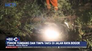 Pohon Tumbang di Depok, 1 Taksi Ringsek