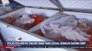 Waspada Daging Babi Dikemas Seperti Daging Sapi