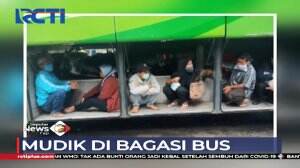 Viral! Hindari Razia Petugas Pemudik Rela Duduk Di Bagasi Bus