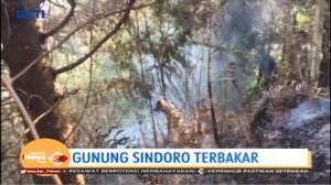 Kebakaran Lereng Gunung Sindoro