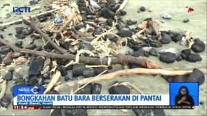Batu Bara Cemari Pantai