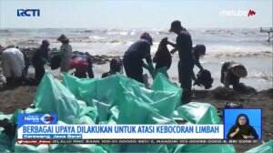 Dampak Pencemaran Minyak