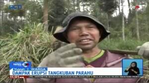 Erupsi Tangkuban Perahu Mulai Mengganggu Aktivitas