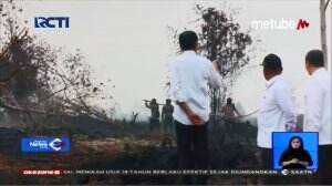 Jokowi Pantau Langsung Lahan Kebakaran